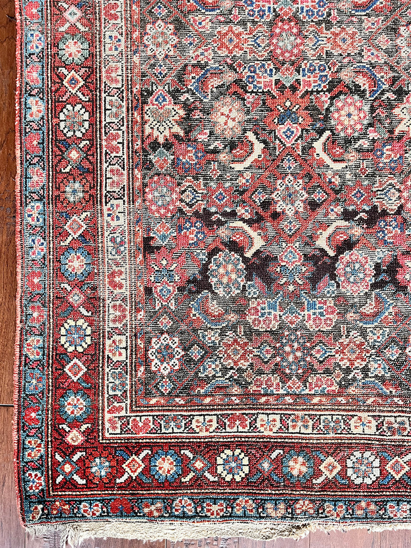 an antique bakshaish rug with a floral trellis pattern on a dark brown field