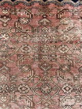 a mini hamadan rug, almost perfectly square in proportion with a coral field, a taupe floral pattern and a near black border