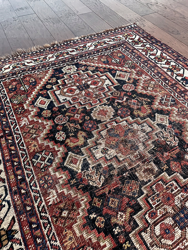 an antique qashqai rug with a black field, brick red and white border