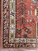 an antique khotan rug with a bright coral field and brown and lemon accents