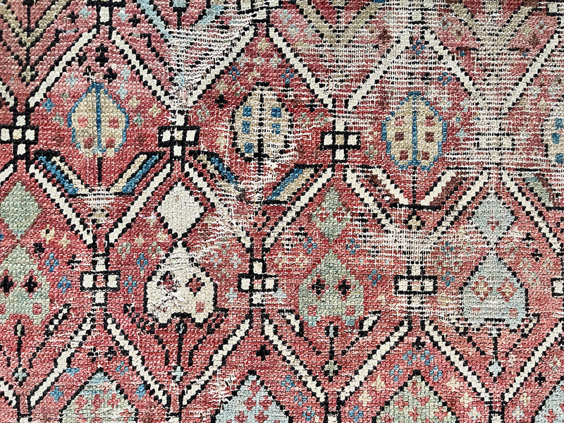 an antique caucasian shirwan rug with a coral field and a pretty trellis pattern in pastel green, blue and yellow tones