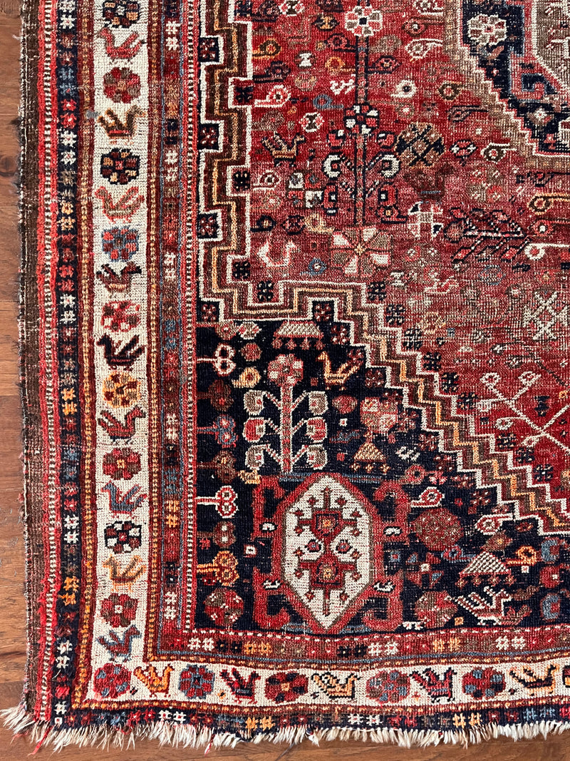 a vintage qashqai rug with a red palette and dark blue corners 