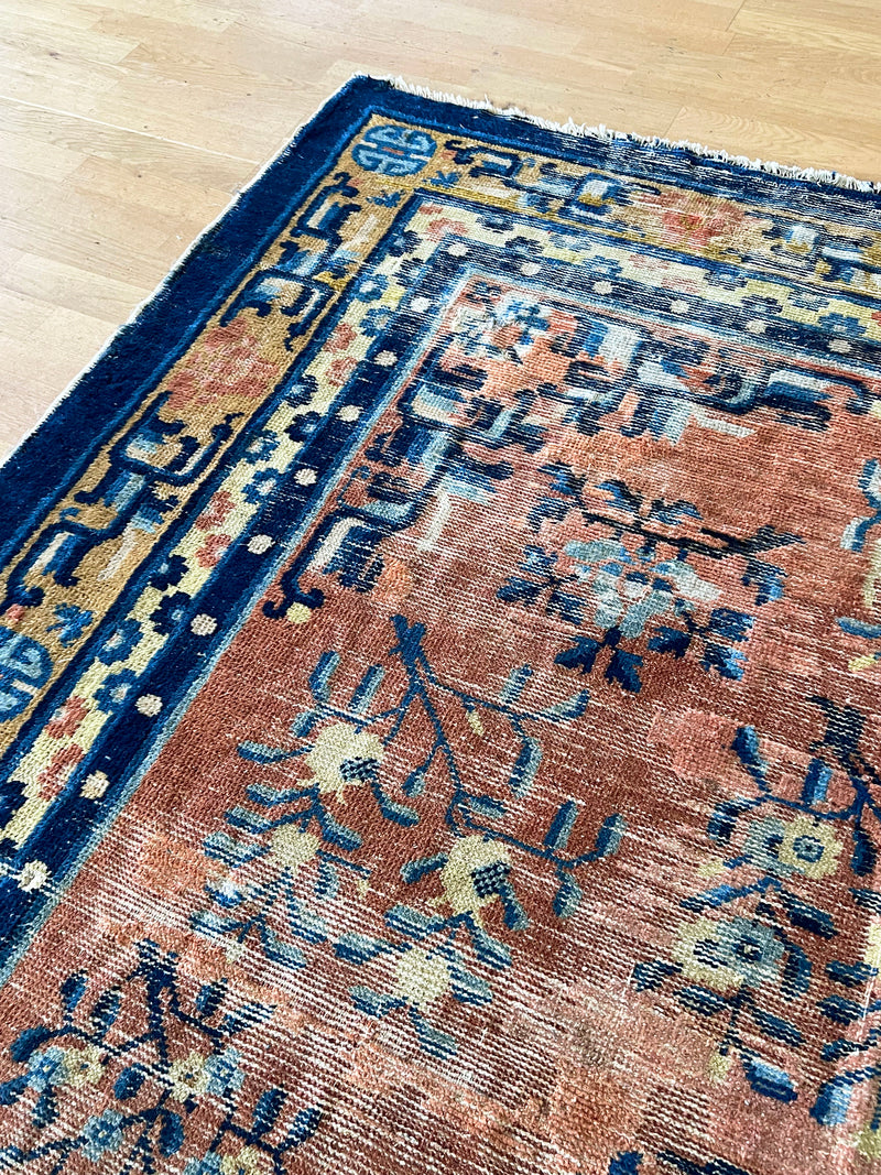 a large antique Chinese rug circa 1900, with a finely woven pile, a coral field and royal blue accents