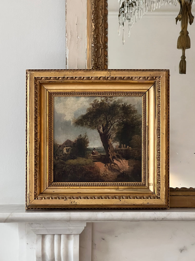 Landscape XIV