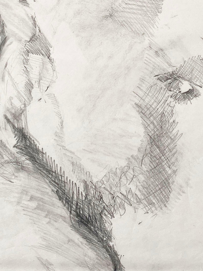 Male Torso