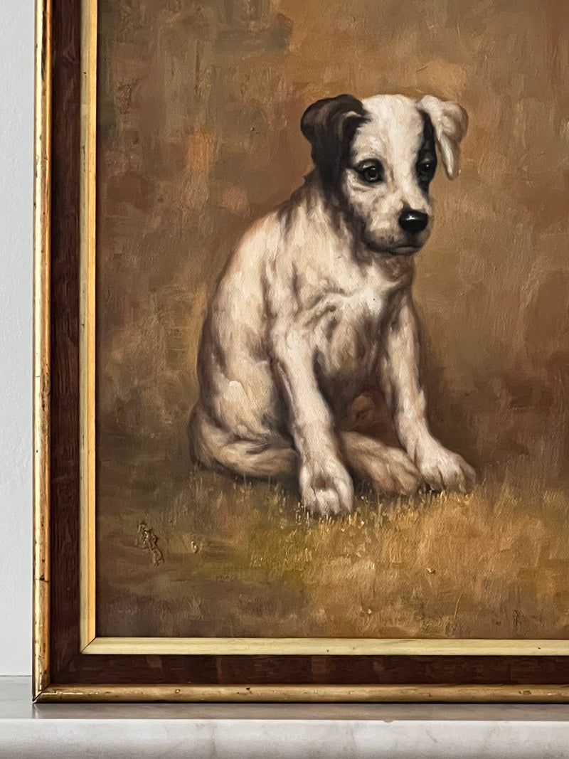 Pondering Puppy